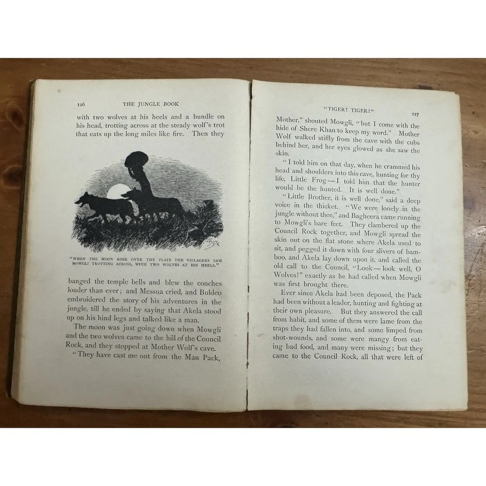The JUNGLE Book by RUDYARD KIPLING 1894 Print 1st Edition Children's Collectible